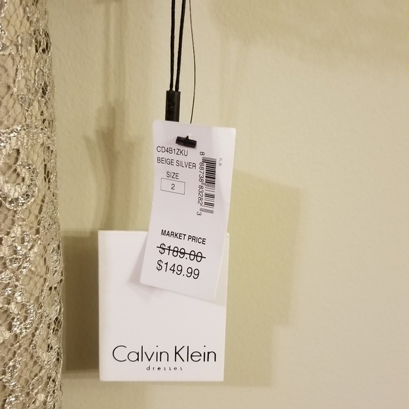 🍾 Calvin Klein Champagne Metallic Lace Dress - Picture 4 of 6